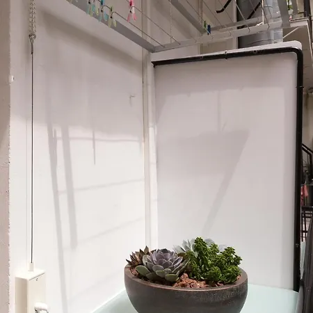 Ur-alde 2* サン・セバスティアン